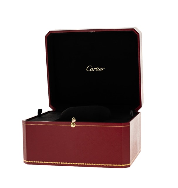 Cartier Santos 100 W20076X8 Image 4